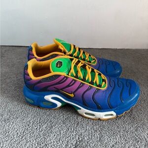 Nike Air Max Plus Blue and Purple Sneakers